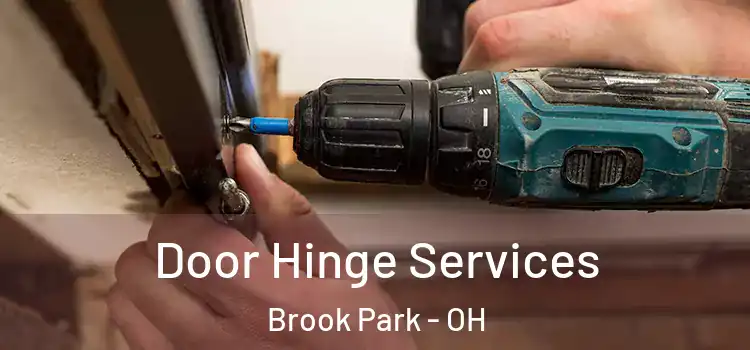 Door Hinge Services Brook Park - OH
