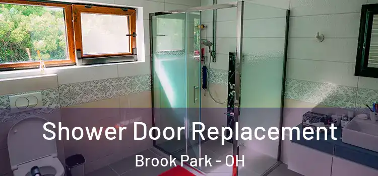 Shower Door Replacement Brook Park - OH