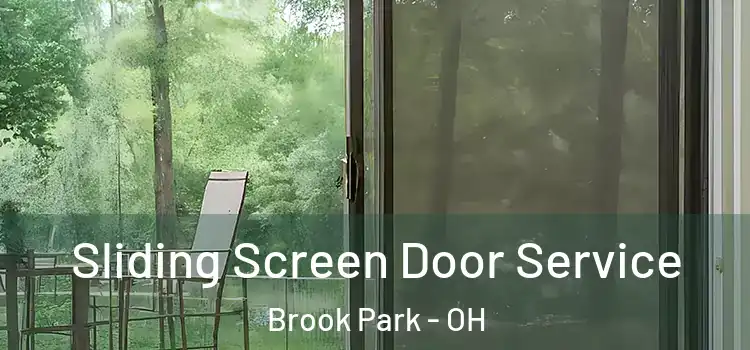 Sliding Screen Door Service Brook Park - OH